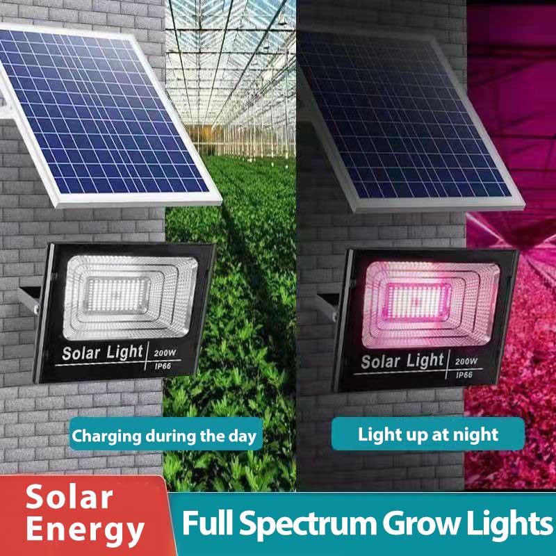 Luces LED de cultivo de planta - Renewable Energy Project reseña y precio