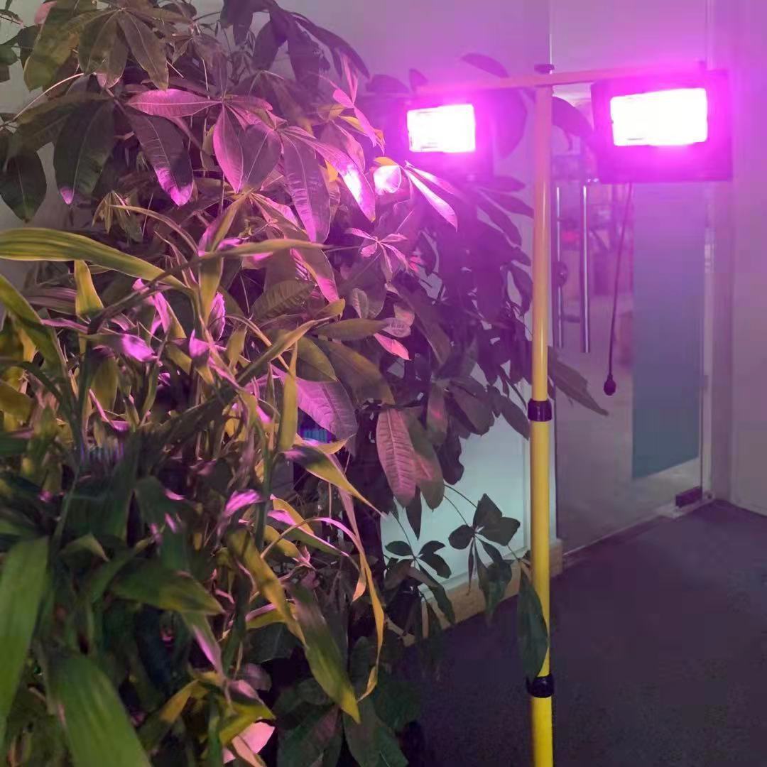 Luces LED de cultivo de planta - Renewable Energy Project reseña y precio